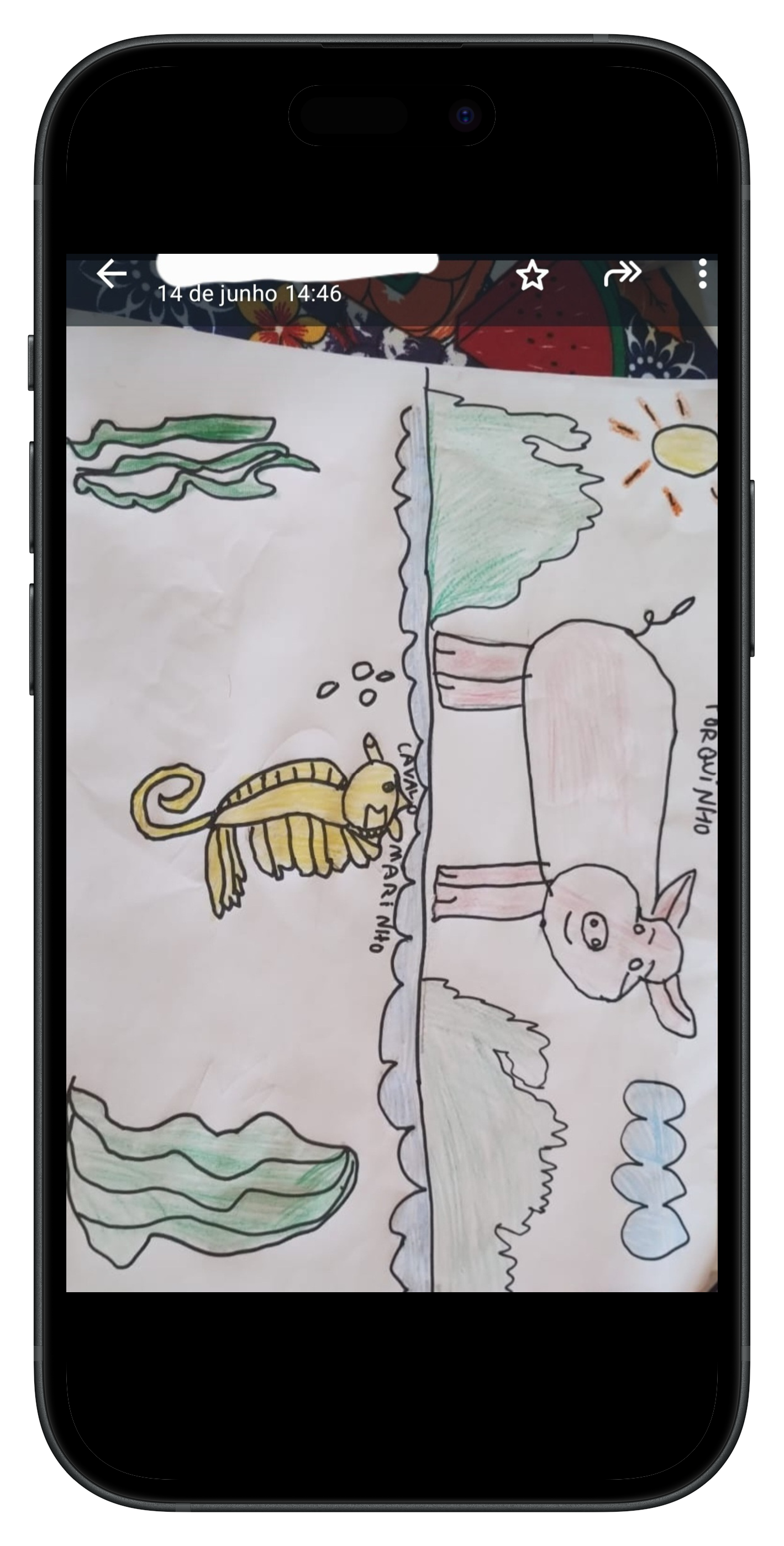 Screenshot_20240708_142605_WhatsApp-portrait